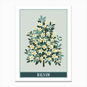 Balsam Tree Flat Illustration 2 Poster Canvas Print