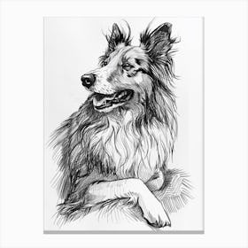 Sheep Dog Line Sketch 3 Canvas Print