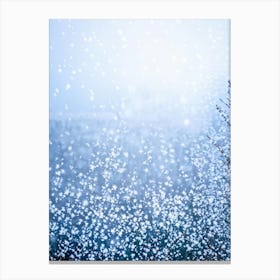 A Magical Winter Scene Layered With A Pattern Of Isolated Snowflakes Caught In A Soft Winter Storm (2) Canvas Print