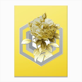 Botanical Giant French Rose in Gray and Yellow Gradient n.256 Canvas Print
