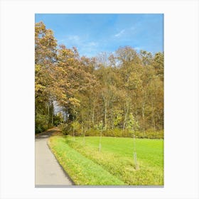 Country Road In Autumn 1 Canvas Print