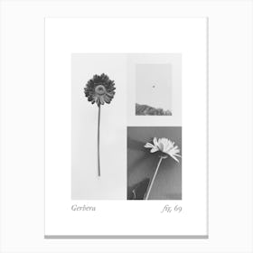 Gerbera Botanical Collage 3 Canvas Print