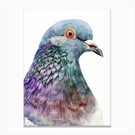 Pigeon 6 Canvas Print