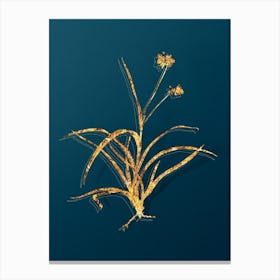 Vintage Spiderwort Botanical in Gold on Teal Blue n.0170 Canvas Print