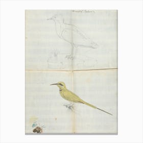2 Birds Aroust El Bahar, Luigi Balugani Canvas Print