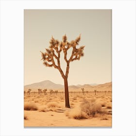  Photograph Of A Joshua Tree In A Sandy Desert 2 Canvas Print