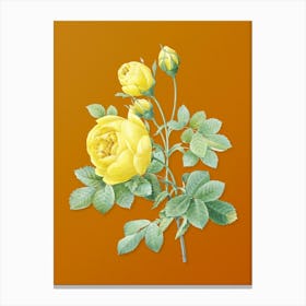 Abehx Vintage Yellow Rose Botanical On Sunset Orange N Canvas Print
