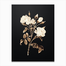 Gold Botanical White Rose on Wrought Iron Black n.4503 Canvas Print