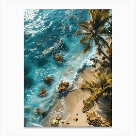 Aerial View Of A Tropical Beach 2 Canvas Print