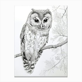 Northern Saw Whet Owl Marker Drawing 5 Canvas Print