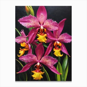 Brassia Orchids Oil Painting Canvas Print