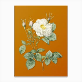 Vintage White Rose of York Botanical on Sunset Orange n.0499 Canvas Print