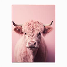 Pastel Pink Portrait Of Highland Cow 4 Canvas Print