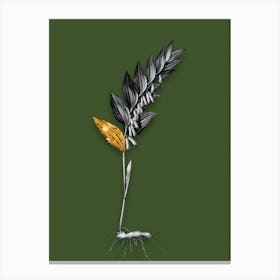 Vintage Angular Solomons Seal Black and White Gold Leaf Floral Art on Olive Green n.0840 Canvas Print