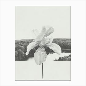 Iris Flower Photo Collage 3 Canvas Print