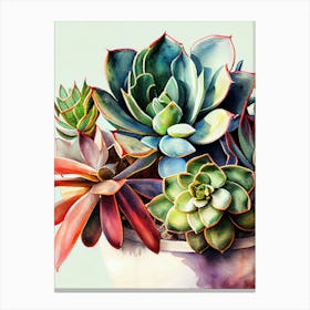 Succulents In A Pot nature flora Canvas Print