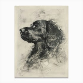 Clumber Spaniel Dog Charcoal Line 2 Canvas Print
