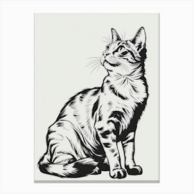 Cat Drawing 6 Canvas Print