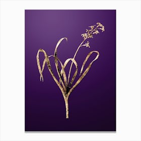 Gold Botanical Dutch Hyacinth on Royal Purple n.1074 Canvas Print