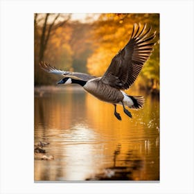 Wild Canadian Goose In Mid Flight Wings Wide Spread Over A Placid Autumnal River In Britain Golde 2 Canvas Print