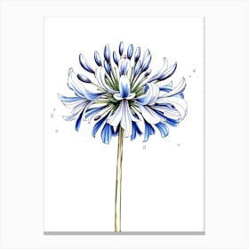 Blue Geranium Canvas Print