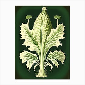 Horseradish Herb Vintage Botanical Canvas Print