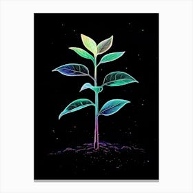 Plant Grows In The Dark 5 Canvas Print