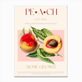 Peach Fruit Mid Century Canvas Print