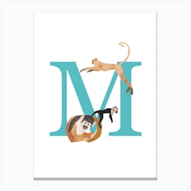 M For Monkey Canvas Print