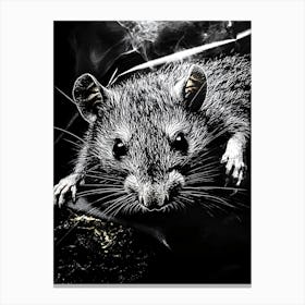 Rat In Smoke Canvas Print