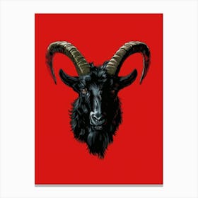 Goat Head 2 Canvas Print