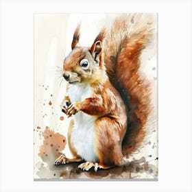 Red Squirrel Watercolor Painting Canvas Print