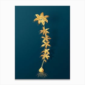 Vintage Wood Lily Botanical in Gold on Teal Blue n.0107 Canvas Print