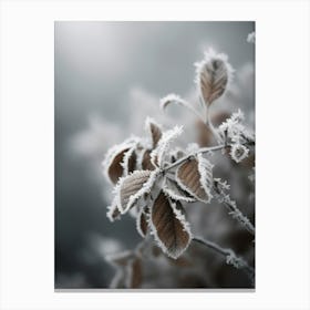Frozen Nature Canvas Print