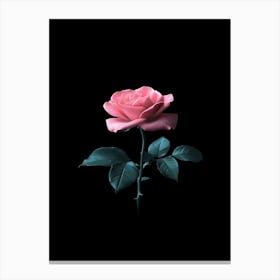 Pink Rose On Black Background 19 Canvas Print