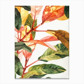 Tropical Leaves 25 Canvas Print