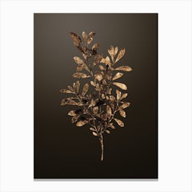 Gold Botanical Bog Myrtle on Chocolate Brown Canvas Print