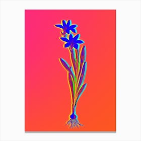 Neon Ixia Liliago Botanical in Hot Pink and Electric Blue Canvas Print