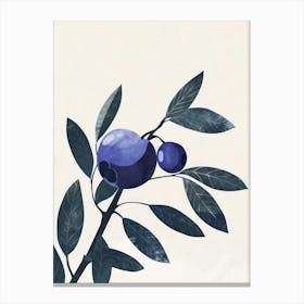 Blueberries Close Up Illustration 3 Canvas Print