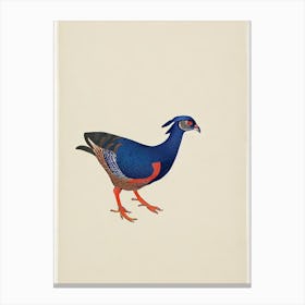 Pheasant Illustration Bird Canvas Print