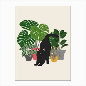 Plants And Cat Canvas Print
