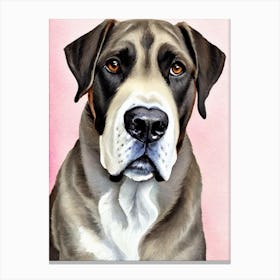 Cane Corso Watercolour dog Canvas Print