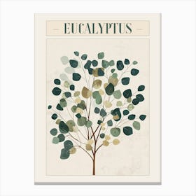 Eucalyptus Tree Minimal Japandi Illustration 3 Poster Canvas Print
