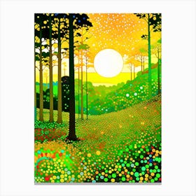 Sunset In The Forest Canvas Print