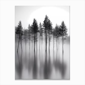 Misty Forest Canvas Print