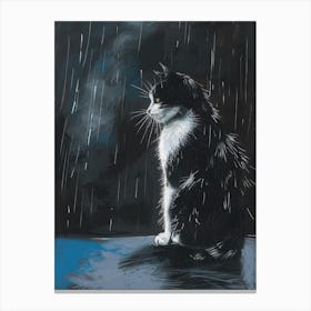 Cat In The Rain Canvas Print