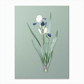 Vintage Tall Bearded Iris Botanical Art on Mint Green n.0863 Canvas Print