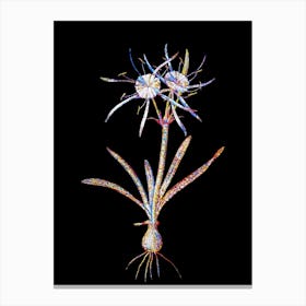 Stained Glass Streambank Spiderlily Mosaic Botanical Illustration on Black n.0180 Canvas Print