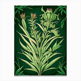 Tarragon Herb Vintage Botanical Canvas Print
