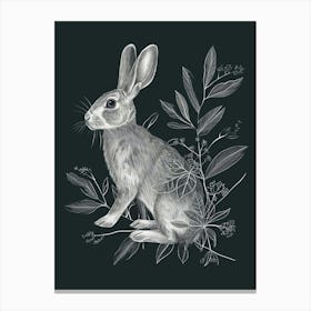 Silver Marten Rabbit Minimalist Illustration 2 Canvas Print